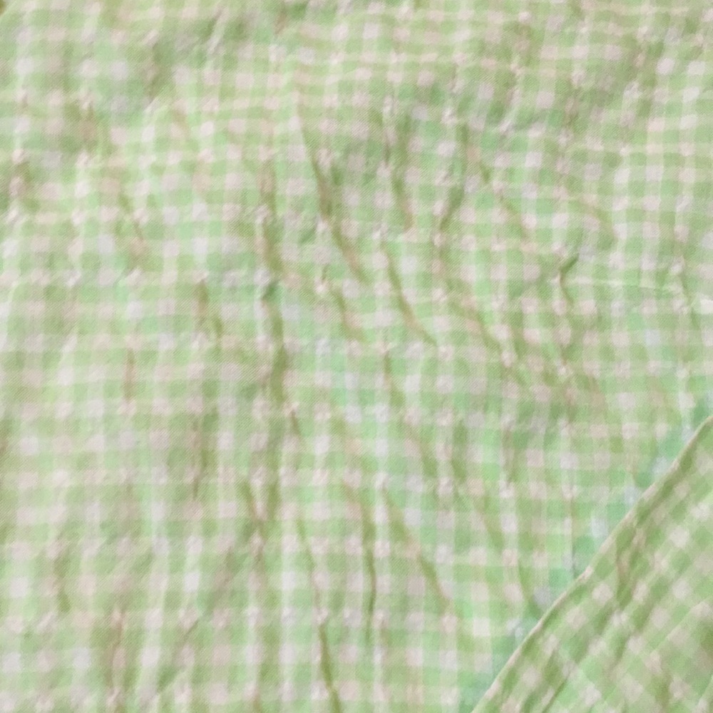 J. Crew Gingham Button Down Shirt - Picture 2 of 6
